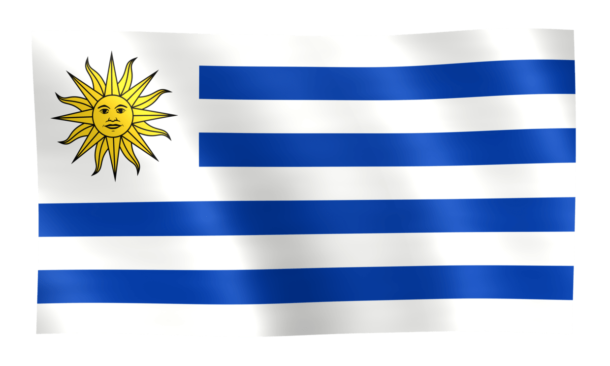 Uruguay Flag