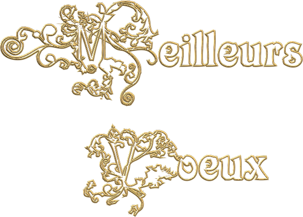 Meilleurs Voeux