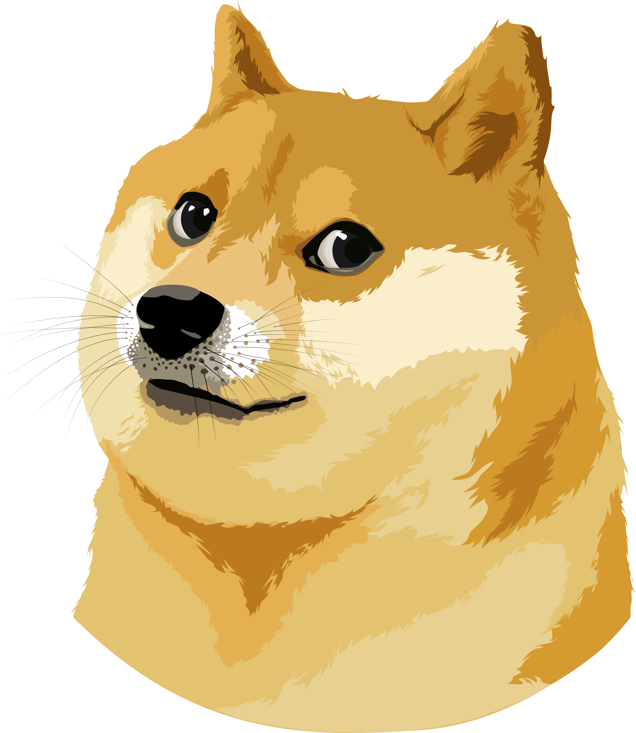 Doge Vector Illustration