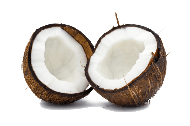 Coconut Duo