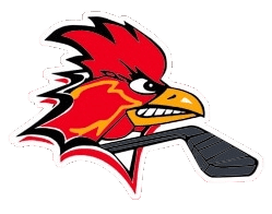 Charleroi Red Roosters Hockey Team 