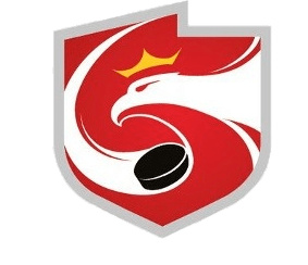 Poland National Ice Hockey Team 