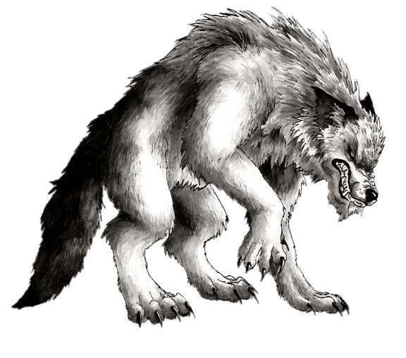Werewolf Drawing