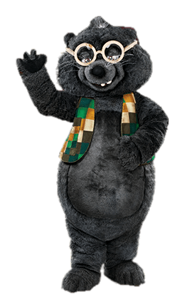 Kabouter Plop Character Pol De Mol