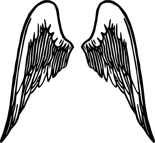 Black and White Angel Wings