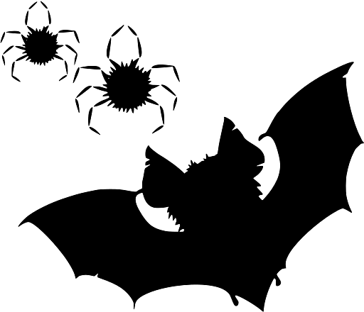 Halloween Bat and Spiders