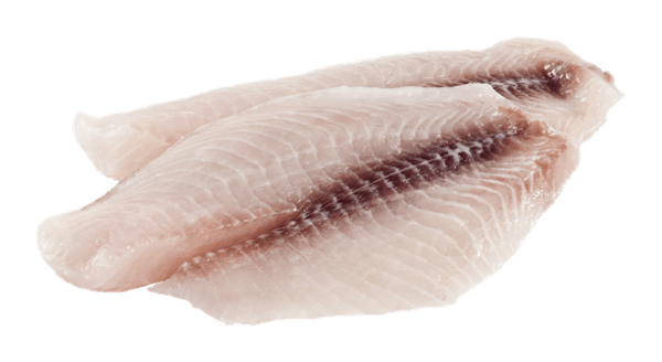 Tilapia Fillets