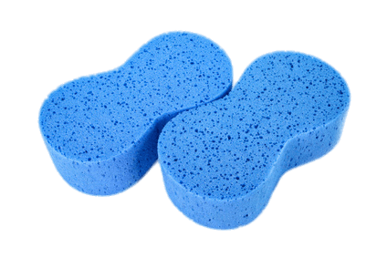 Blue Sponges