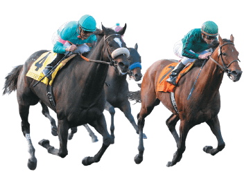 Racing Horses