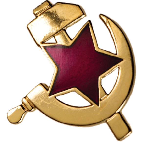 Hammer and Sickle Pin