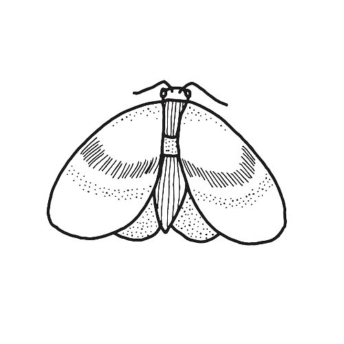 Infantium Victoria thumbnail