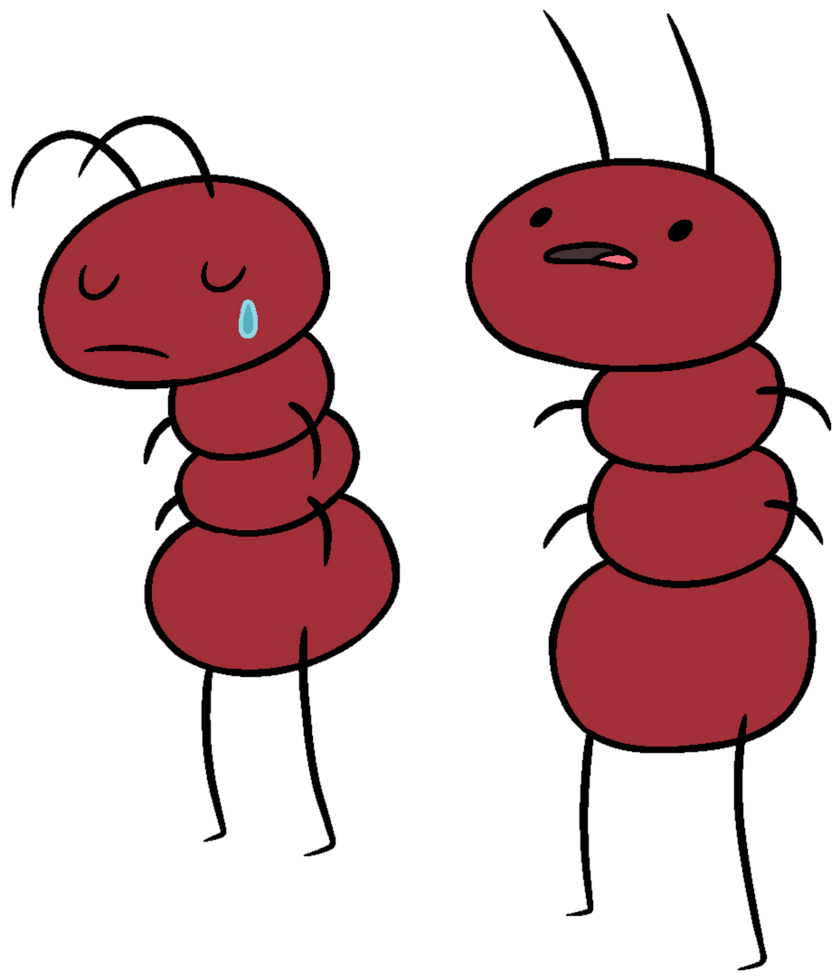 Adventure Time Ants