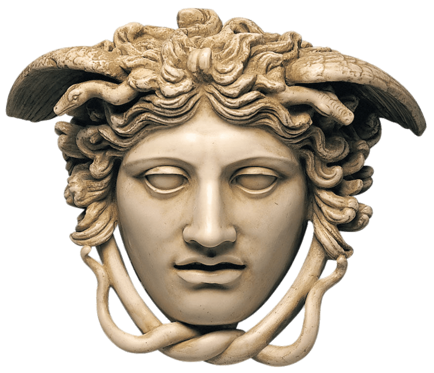 White Medusa Head