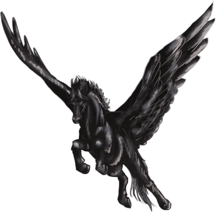 Black Pegasus