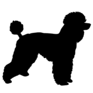 Poodle Silhouette