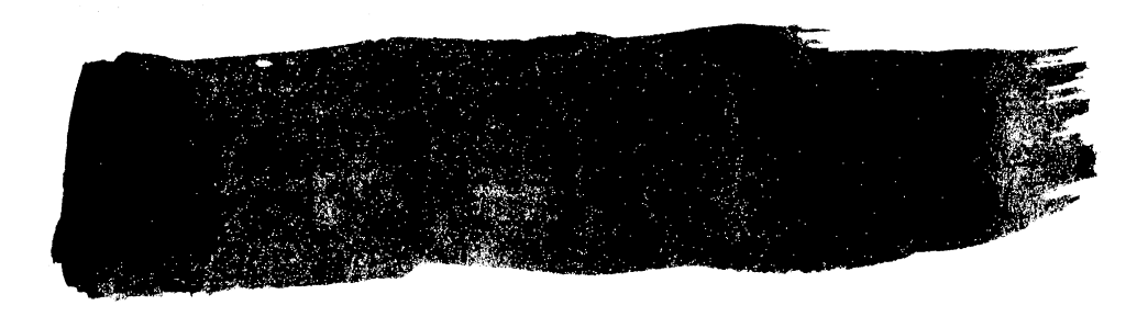Grunge Brush Stroke Banner