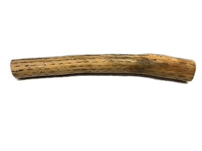 Cactus Wood Rainstick
