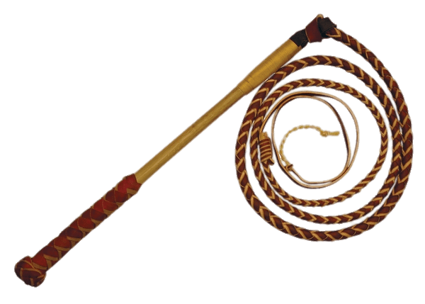 Whip With Long Handle