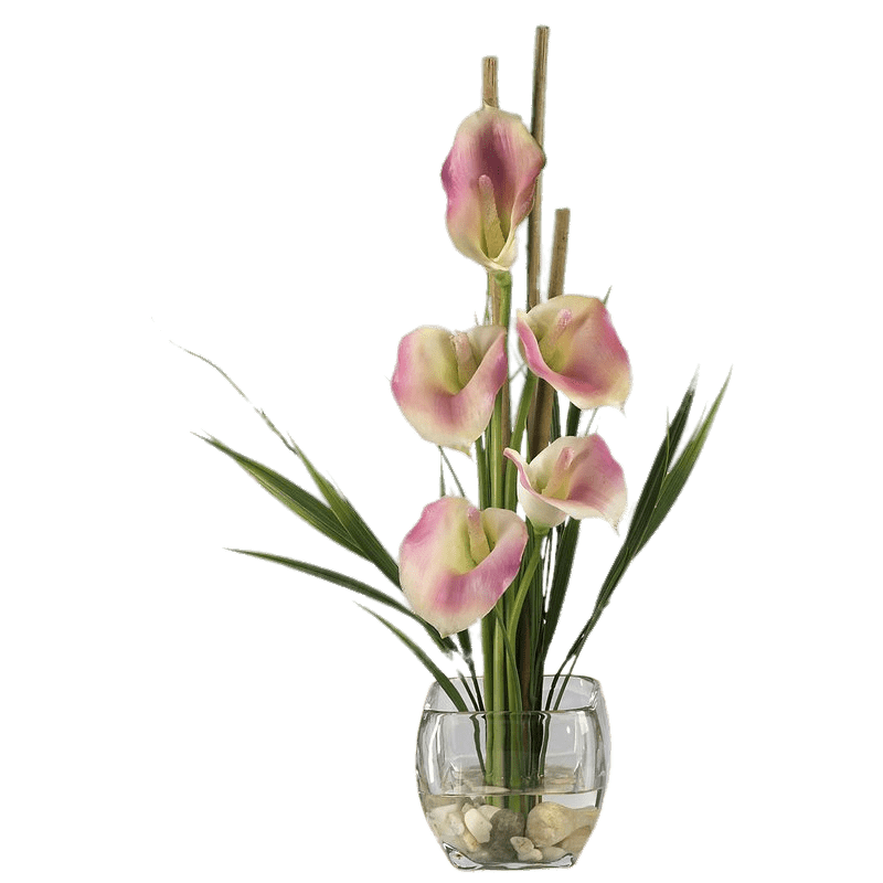 Pink Calla Lilies Composition