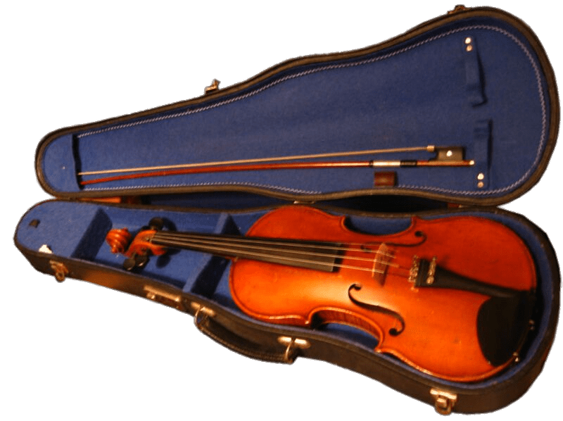 Violin In Its Case