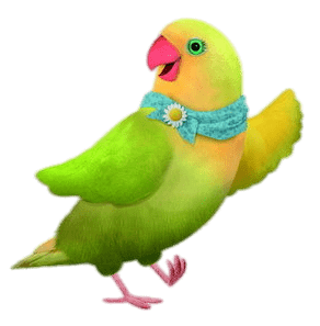 3rd&Bird Mrs.Lovebird