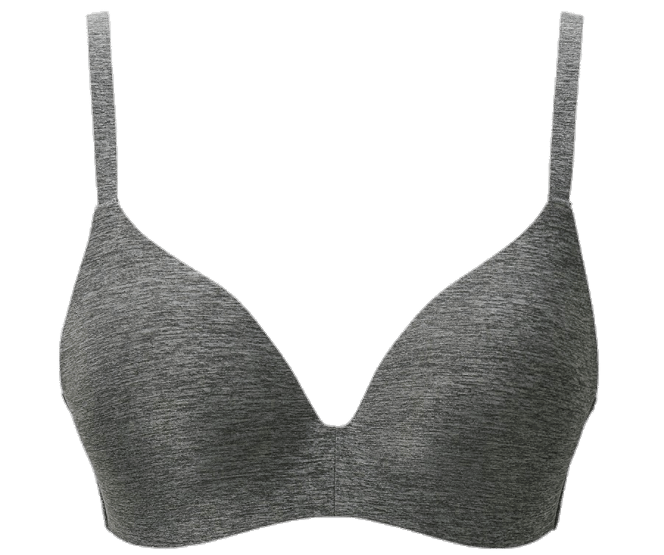 Grey Bra