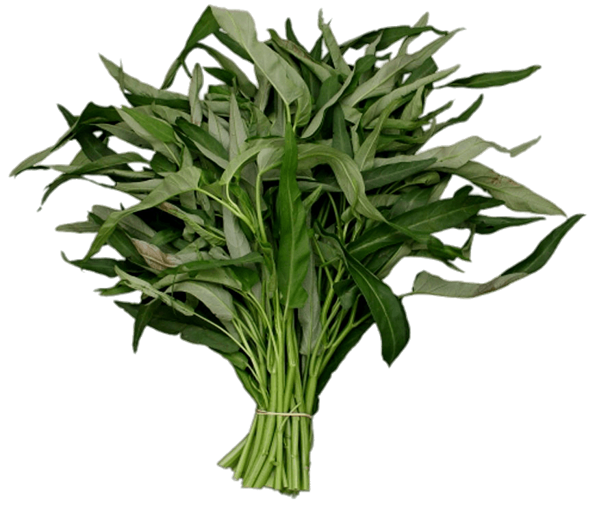 Kangkong