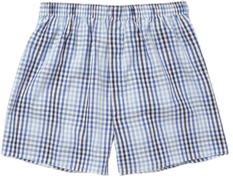 Checkered Boxer Shorts
