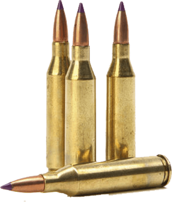 Group Of Bullets