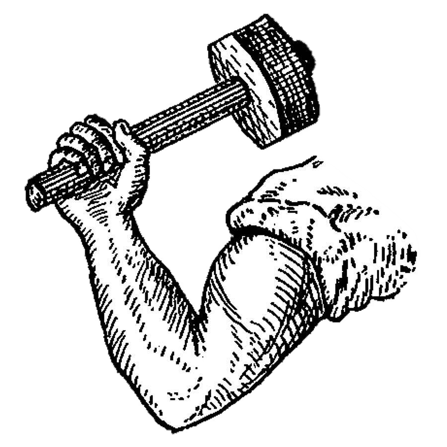 Arm & Hammer Black and White 