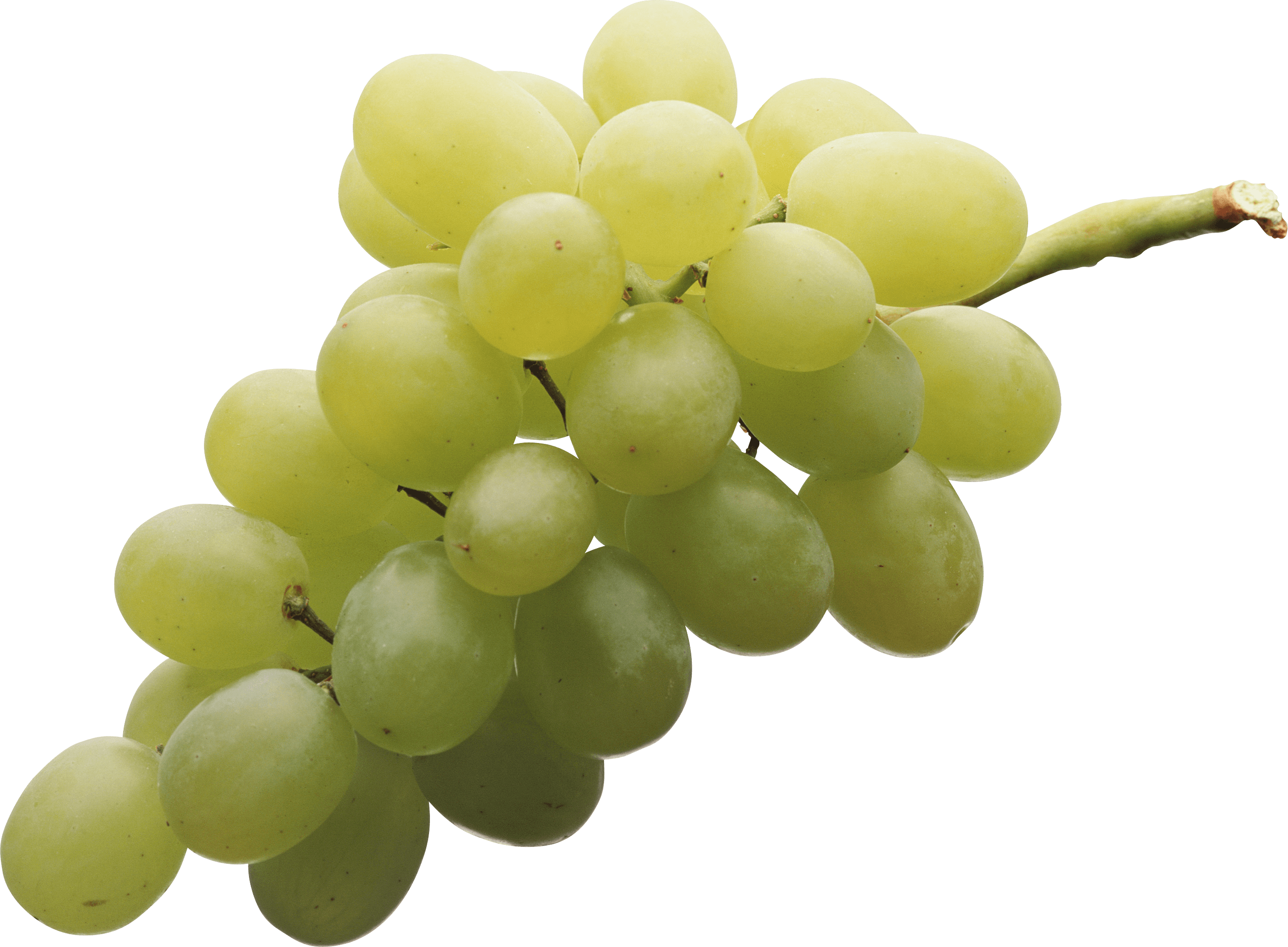 Isolated White Grape