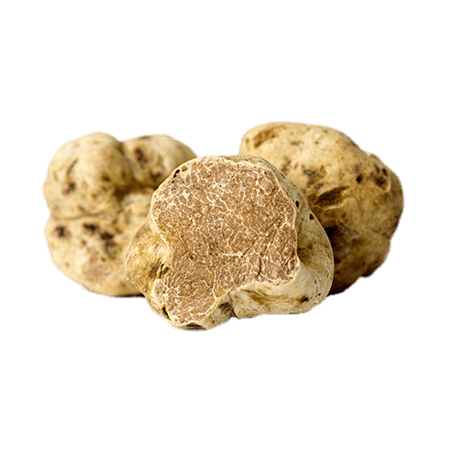 White Truffles