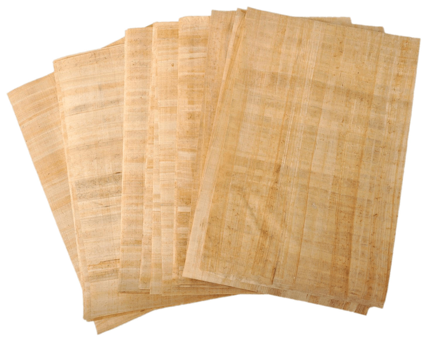 Blank Papyrus Sheets