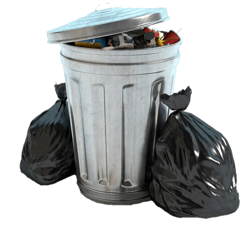 Garbage Bin and Two Black Bags