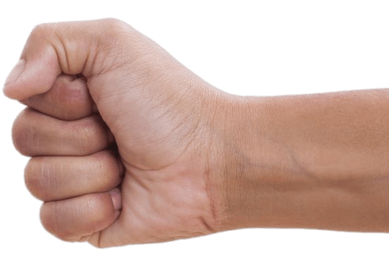 Clenched Fist To the Left