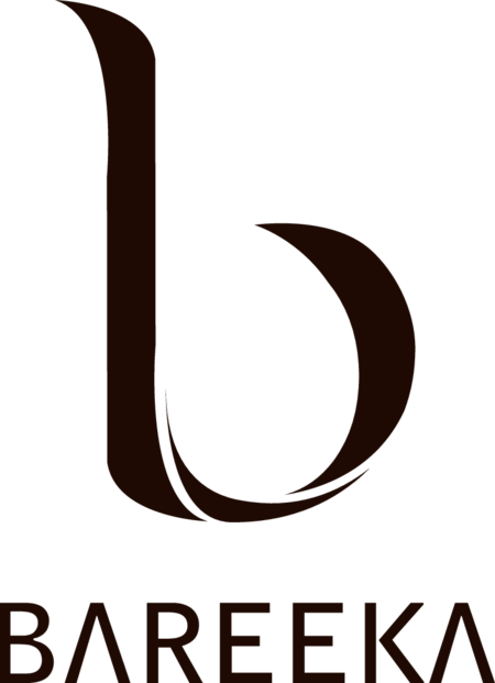 Bareeka Business parks