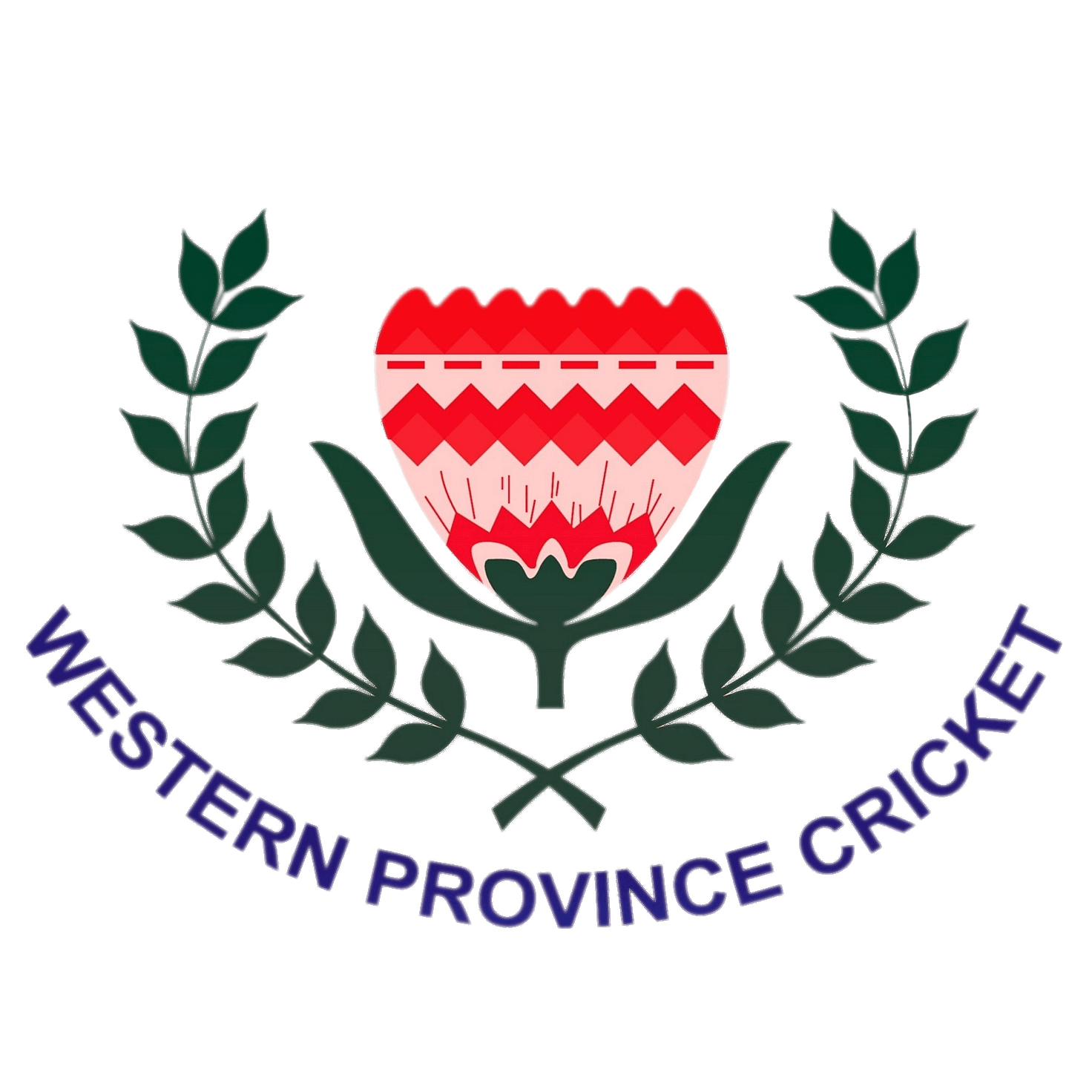 Western Province Cricket 