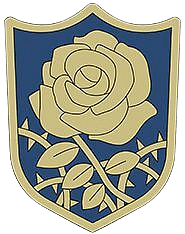 Black Clover Blue Rose Squad