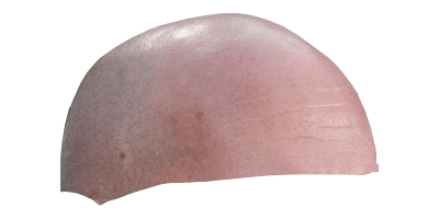 Large Bald Head Snapchat Filter