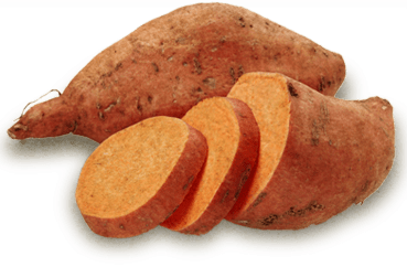 Sweet Potato