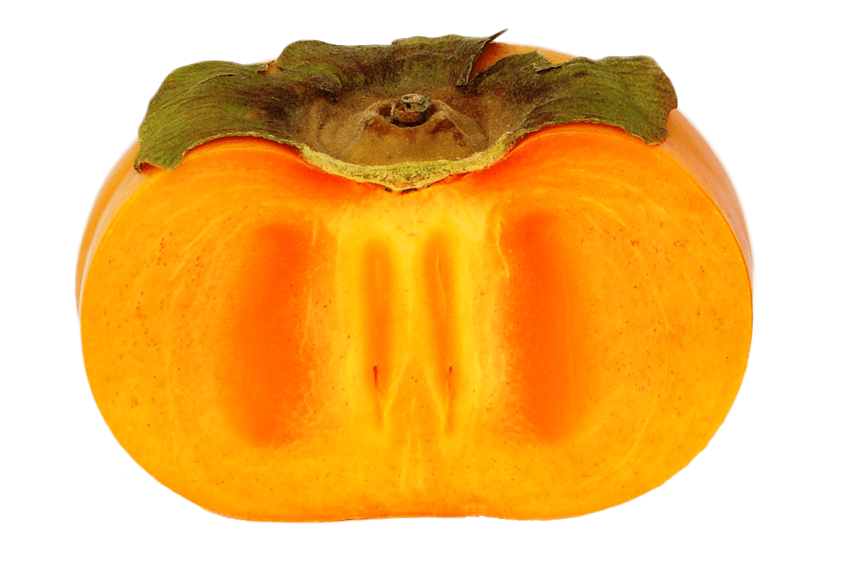 Open Persimmon