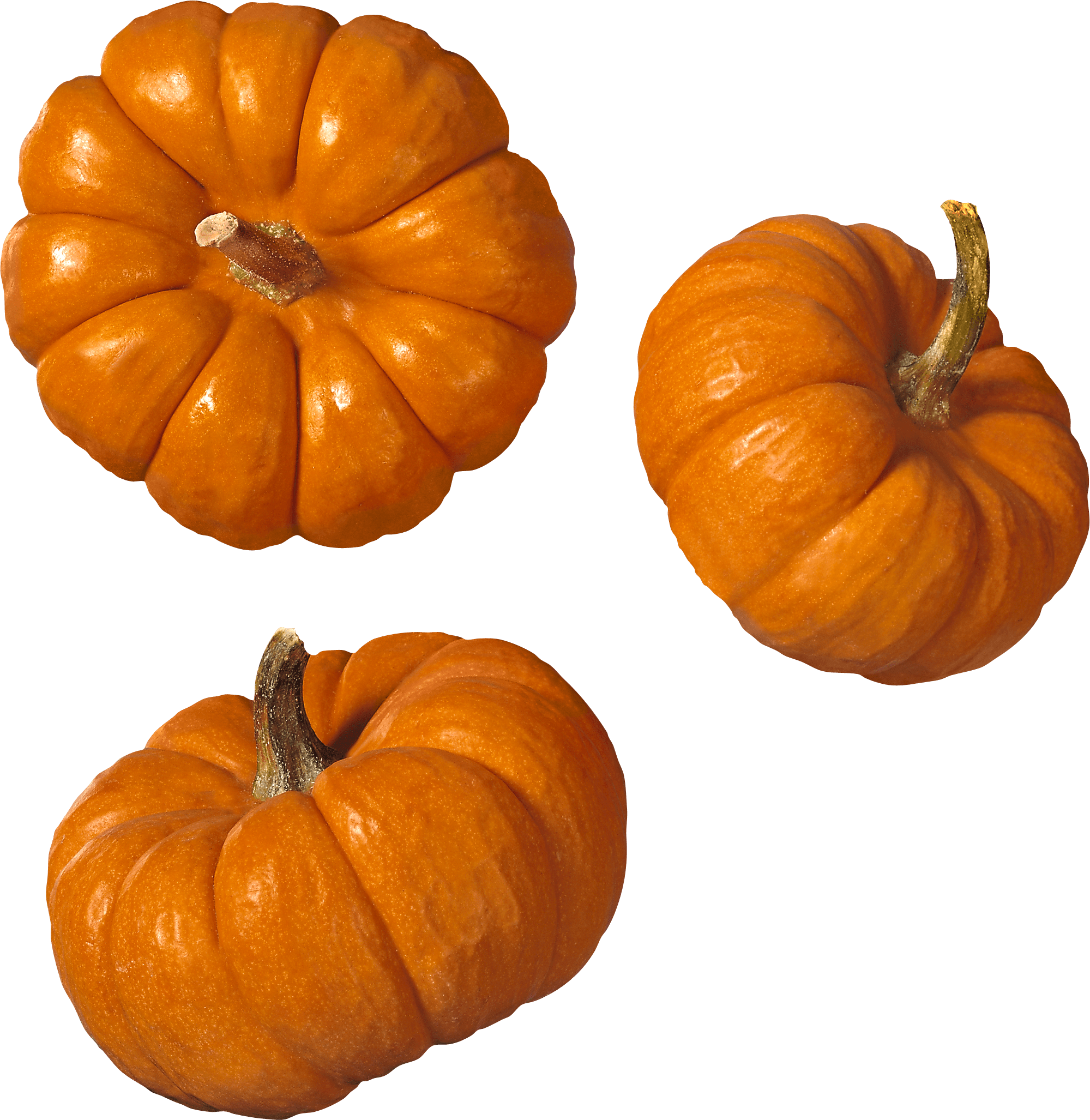 Trio Pumpkin