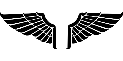 Eagle Wings United States