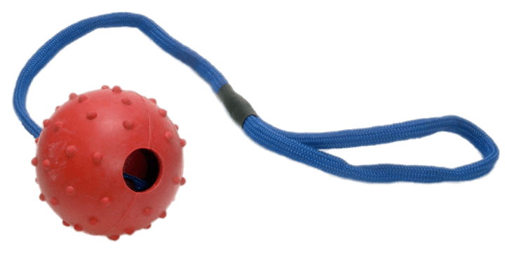 Rubber Ball on Rope For Dogs
