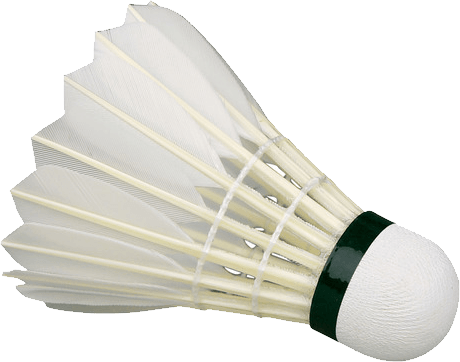 Badminton Birdie White
