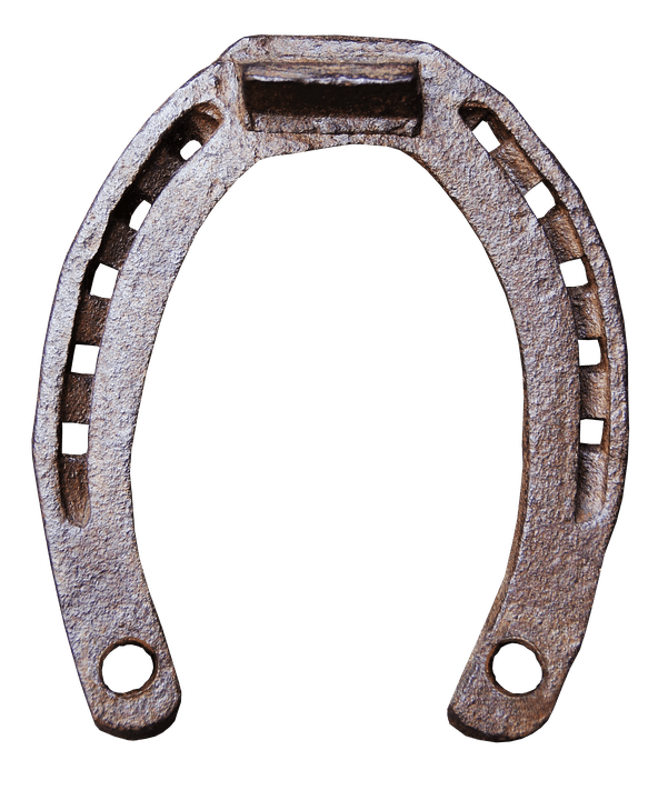 Rusty Horseshoe