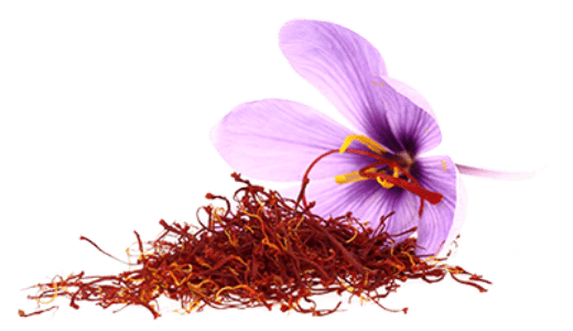 Saffron Flower