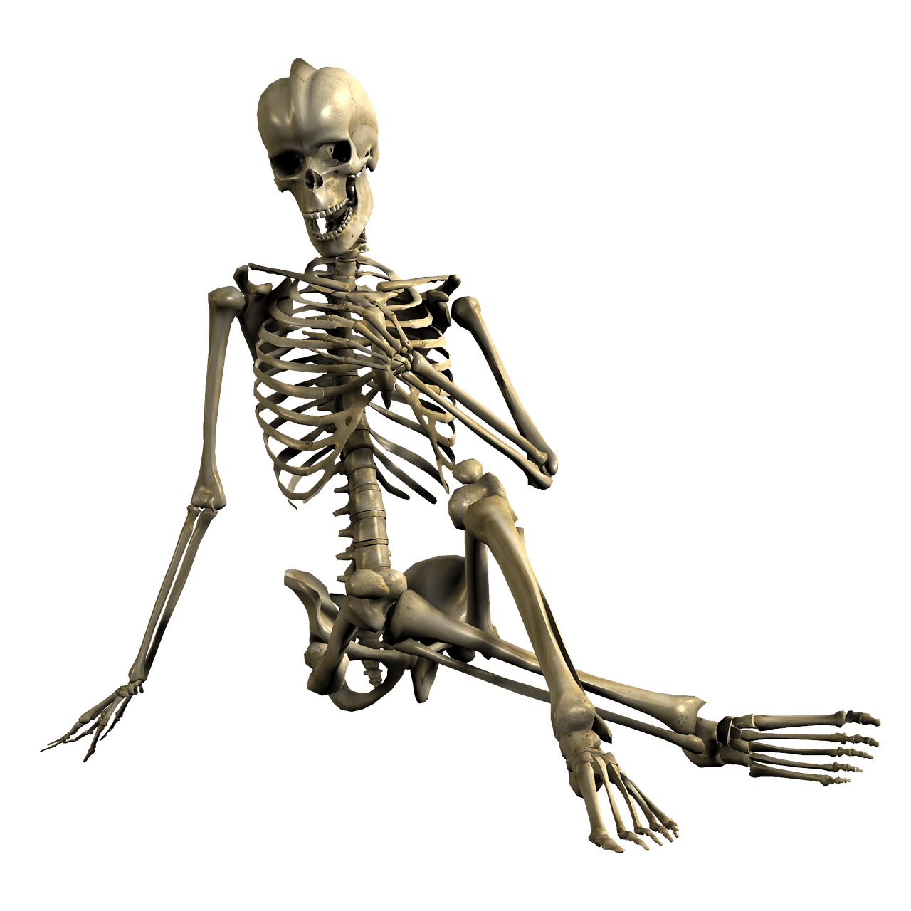 Skeleton Hand In Front Of Chest