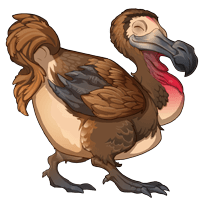 Dodo Illustration