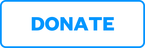 Simple Blue Outline Donate Button